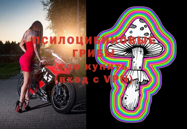 трава Алексин