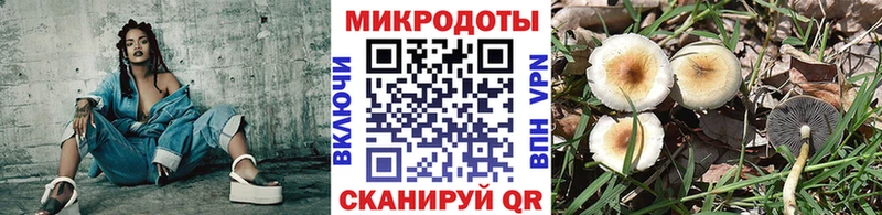 закладки  Омск  Галлюциногенные грибы MAGIC MUSHROOMS 